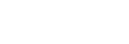 LOGO FLEET branco